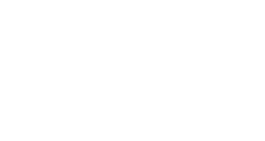 SikaStrength